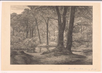 Ansicht der Hunnenschans auf der Veluwe von Simon Moulijn