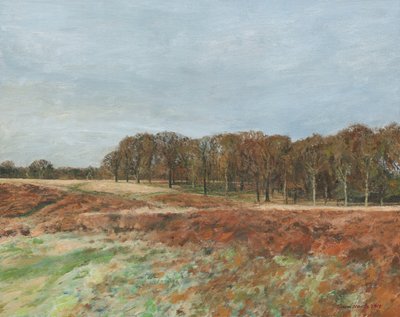 Richmond Park von Simon Neville