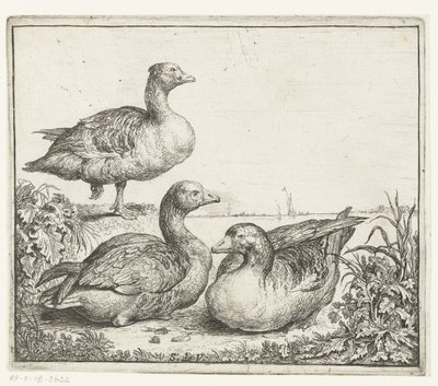 Drei Gänse von Simon de Vlieger