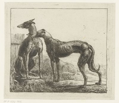 Zwei Windhunde von Simon de Vlieger