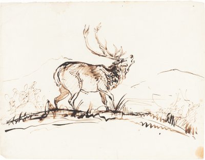 Ein brüllender Hirsch von Sir Edwin Landseer