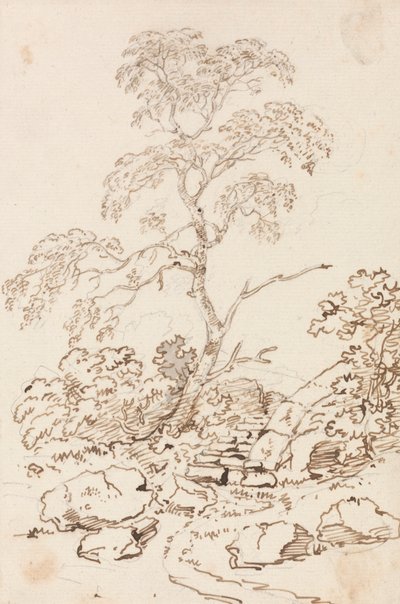 Baum bei Stufen von Sir George Howland Beaumont seventh Baronet