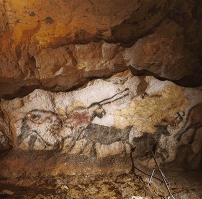 Das mythische Einhorn von Lascaux, gemalt vor über 17.000 Jahren, säumt den weißen Kalkstein von Sisse Brimberg