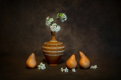 Rustikales Stillleben mit Blüten von Siyu_Wei APA