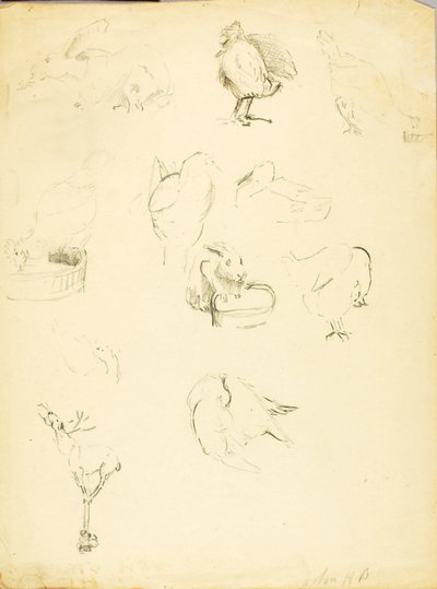 Tierstudien von Solon H. Borglum