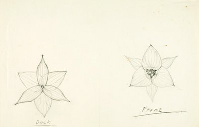 Struktur der Blume von Solon H. Borglum