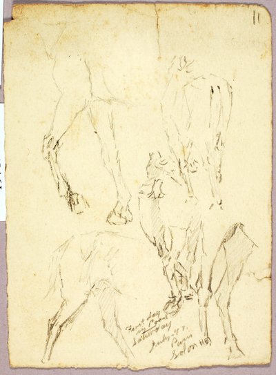 Pferde von Solon H. Borglum