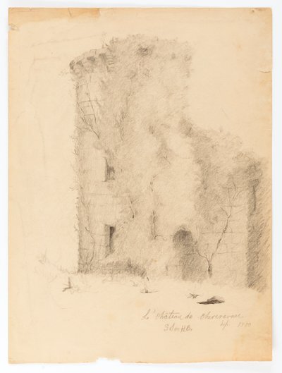 Das Schloss von Chevenevase von Solon H. Borglum