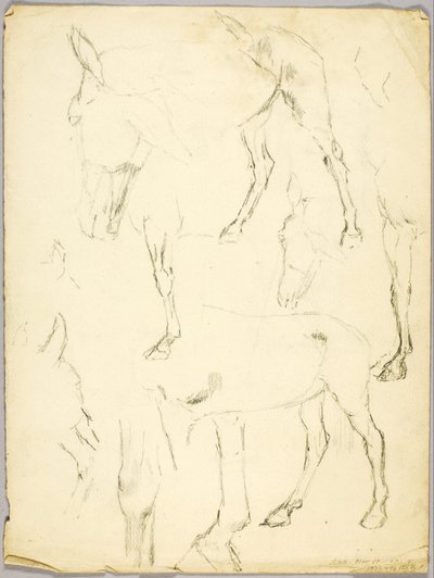 Porträtstudie, Pferdestudie von Solon H. Borglum