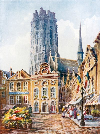 Malines von Sophie D