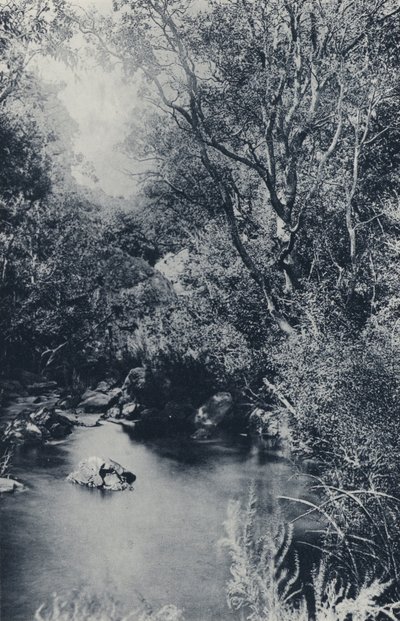 Eine Feenszene, in der Nähe von Witpoortje von South African Photographer