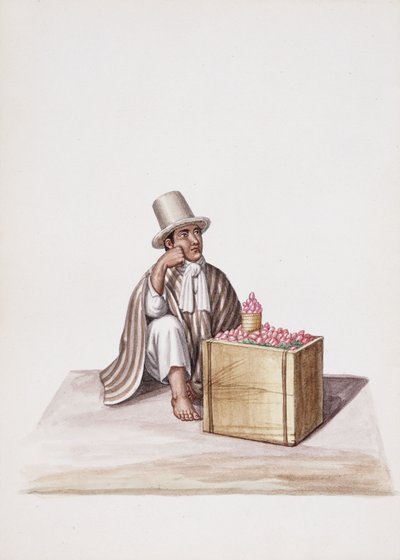 Typen und Kostüme von Neu-Granada von South American School