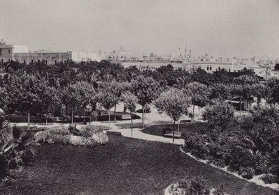 Cadiz: Parque Genovés von Spanish Photographer