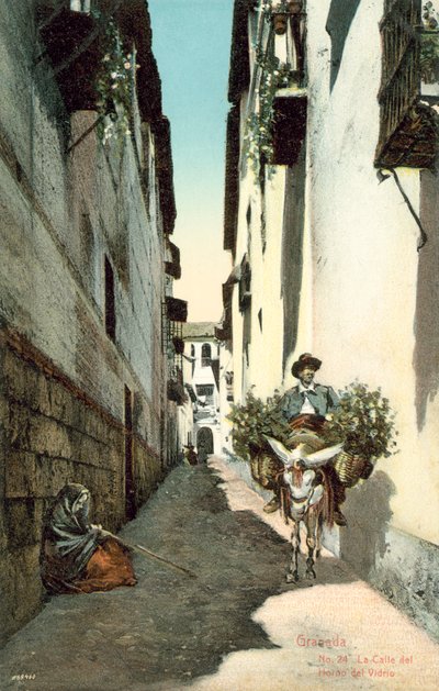 Granada, La Calle Del Horno Del Vidrio, Spanien von Spanish Photographer