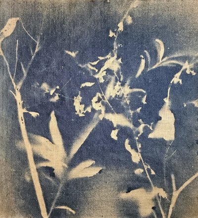 Blaue Botanische Silhouette von Stefano Mazzolini
