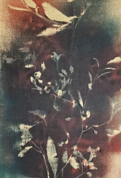 Stimmungsvolle Botanische Zweige von Stefano Mazzolini