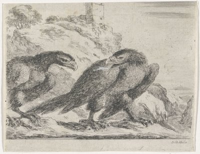 Adler nach rechts laufend, zurückblickend auf anderen Adler (Adler-Serie) von Stefano della Bella