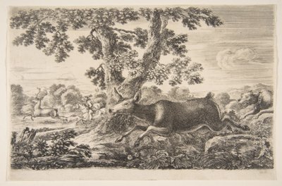 Hirschjagd, aus Tierjagden Chasses à différents animaux, ca. 1654 von Stefano della Bella