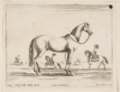 Tafel 21: Pferd, aus Verschiedene Tiere Diversi animali, 1641 von Stefano della Bella