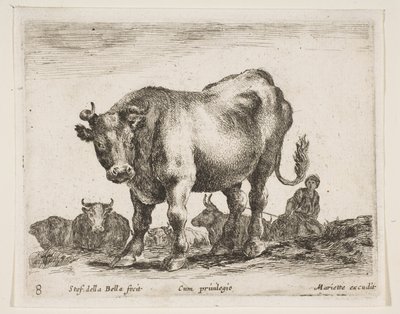 Tafel 8: Kuh, aus Verschiedene Tiere Diversi animali, ca. 1641 von Stefano della Bella