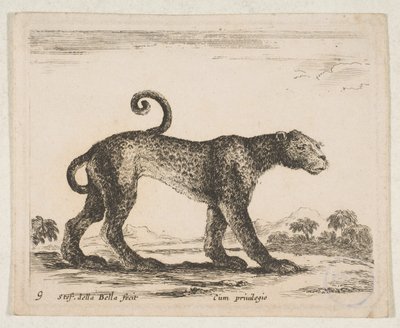 Leopard, aus 
