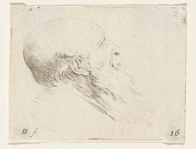 Kopf eines kahlen alten Mannes von Stefano della Bella