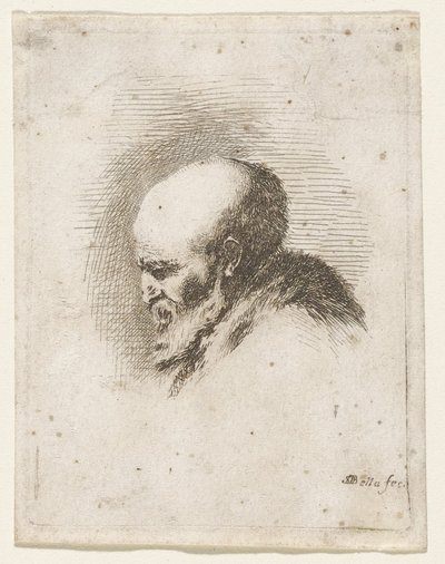 Kopf eines kahlen, bärtigen alten Mannes von Stefano della Bella