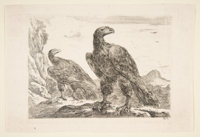 Zwei Adler, aus 