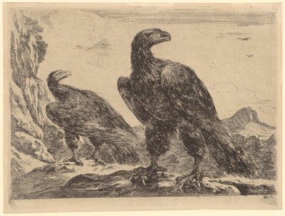 Zwei Adler bei einer Felswand, Blatt 5 der Folge "Adler" von Stefano della Bella