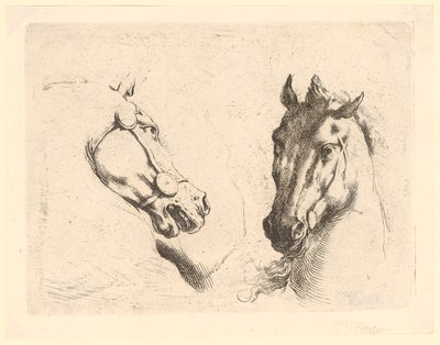 Zwei Pferdeköpfe, Blatt 1 der Folge „Verschiedene Tierköpfe“ von Stefano della Bella