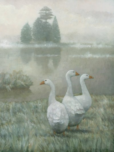 Weiße Gänse im Morgennebel von Steve Mitchell