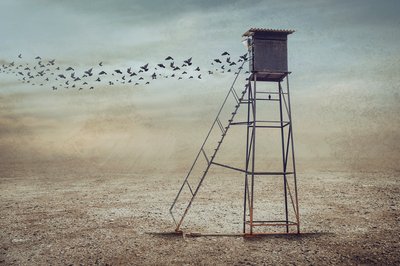 Vögel über einsamem Wachturm von Sulaiman Almawash