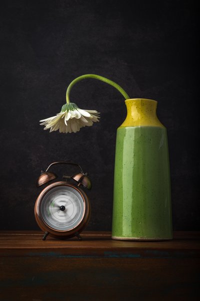 Verwelkende Gänseblümchen, die Zeit vergeht von Sumit Dhuper