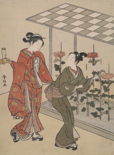 Chrysanthemen-Betrachtung von Suzuki Harunobu
