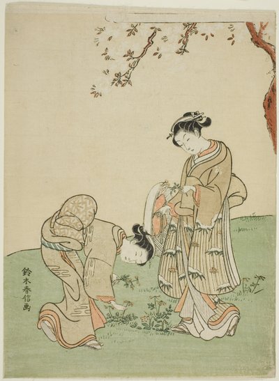 Frühlingsblumen sammeln von Suzuki Harunobu