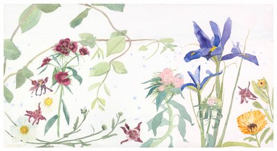 Iris und Bartnelken von Suzy Fasht