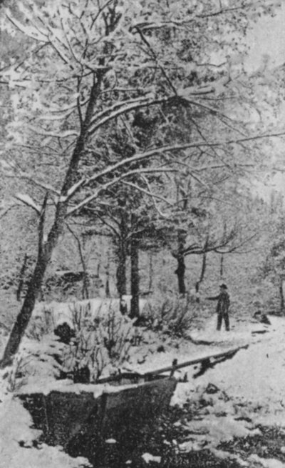 Winterlandschaft in Meiringen, Berner Oberland von Swiss Photographer