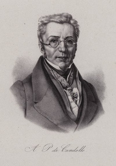 Augustin Pyramus de Candolle, Schweizer Botaniker von Swiss School