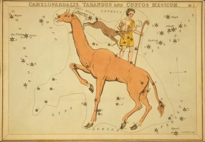 Camelopardalis, Tarandus und Custos Messium, Illustration aus 