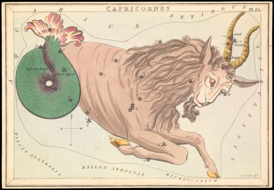 Capricornus von Sydney Hall