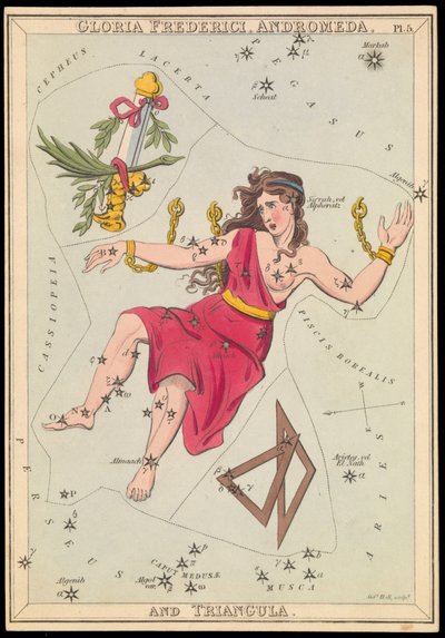 Gloria Frederich, Andromeda und Triangula, ca. 1825 (Karte, Papier, Gewebe) von Sydney Hall