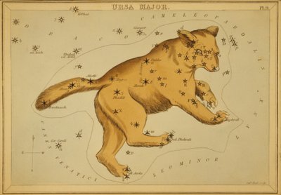Großer Bär, Illustration aus 