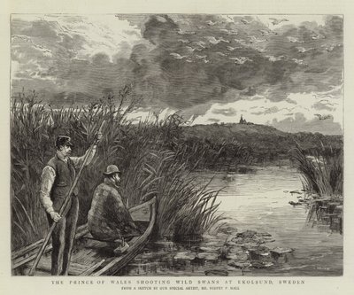 Der Prinz von Wales schießt Wildschwäne in Ekolsund, Schweden von Sydney Prior Hall