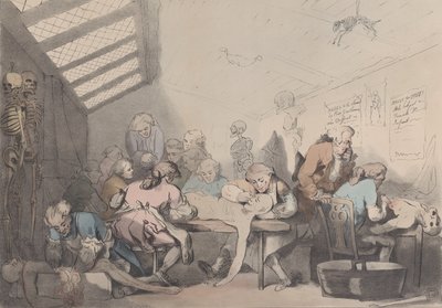 Der Seziersaal, ca. 1838 von T. C. Wilson