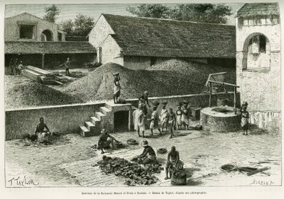 Im Inneren der Faktorei Maurel und Prom, in Boulam, Erdnüsse, Palmkerne und Gummi verarbeitend. Gravur von Taylor, nach einer Fotografie, zur Illustration der Geschichte Voyage dans la Sénégambie et la Guinée portugaise, 1888, von Kapitän A. Brosselard von T Taylor