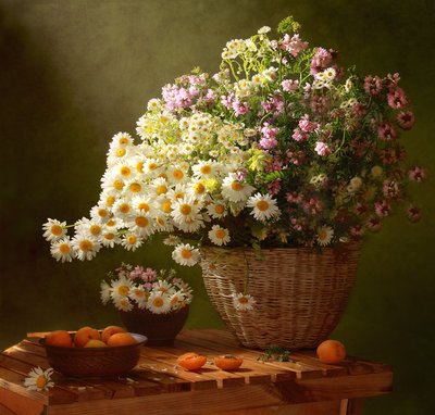 Sommer Gänseblümchen und Aprikosen von Tatyana Skorokhod
