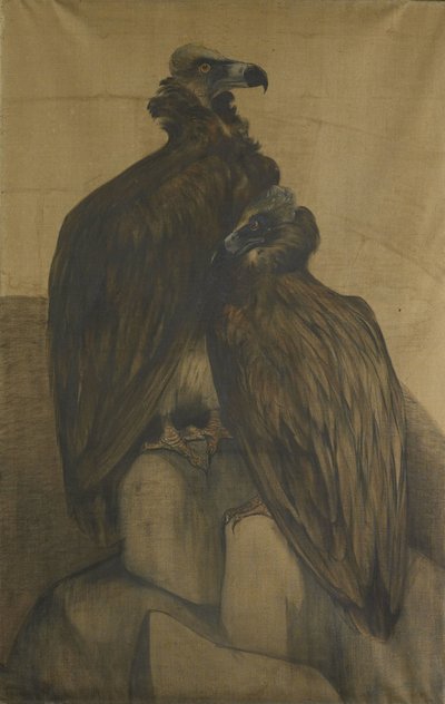 Zwei arabische Geier von Theo van Hoytema