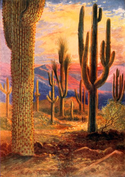 Der Sieger der Wüste von Theobald Carreras