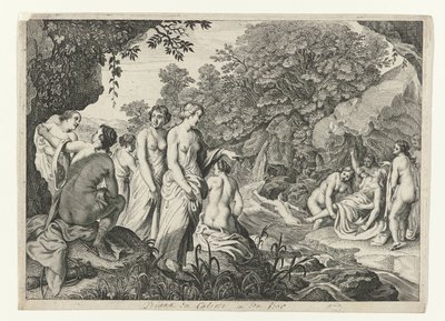 Diana entdeckt die Schwangerschaft von Callisto von Theodor Matham