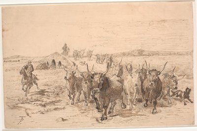 Eine Herde Ochsen in der römischen Campagna von Theodor Philipsen